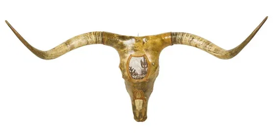 The Texas Ranch Auction