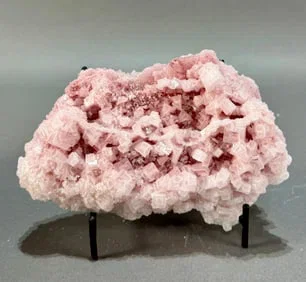 Summer Rock And Fossil Clearance Auction