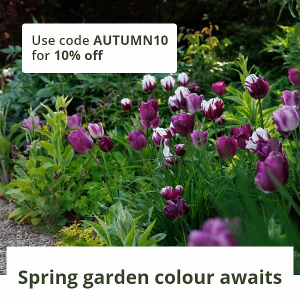 Discover what's new for your spring garden