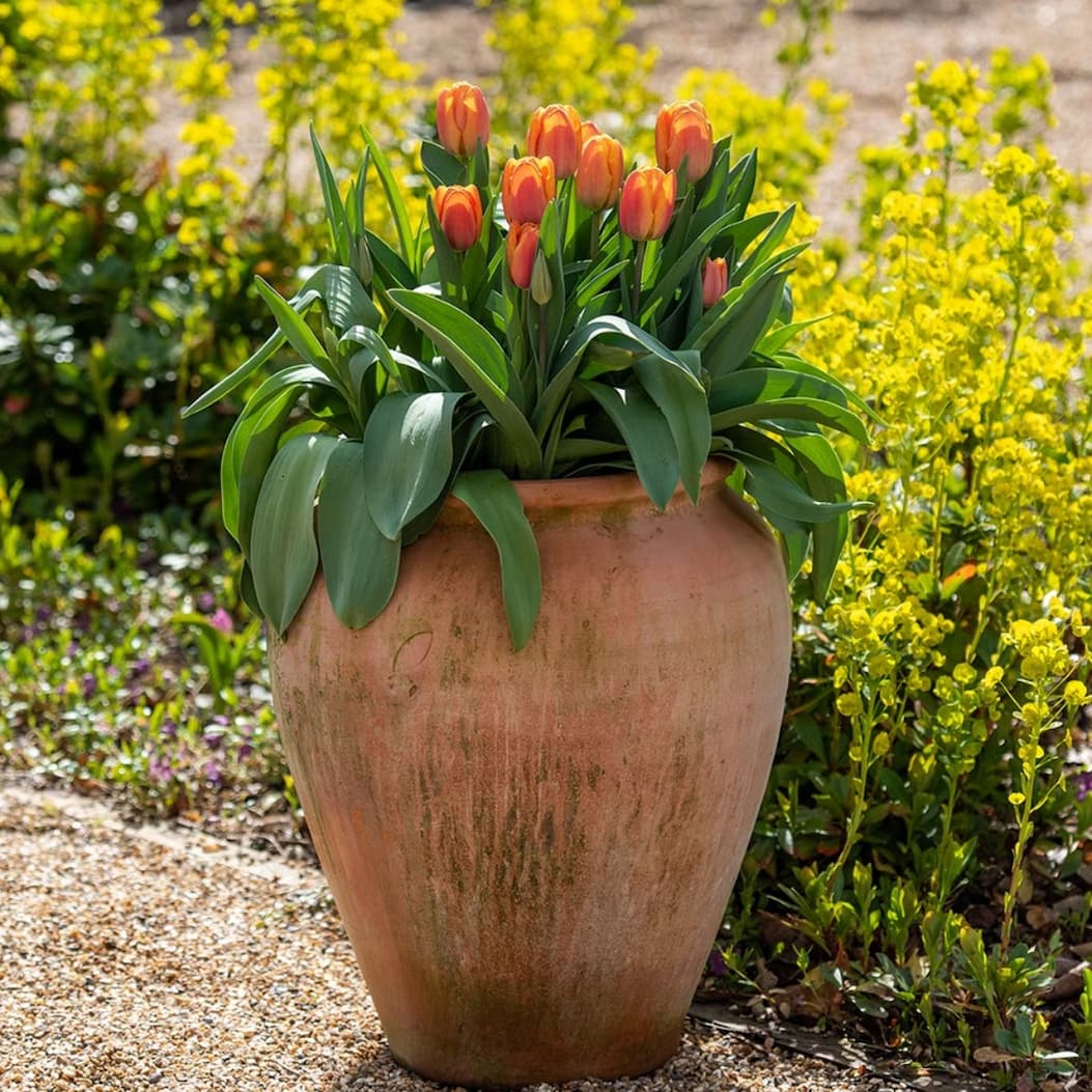 Set the stage  Outdoor pots 