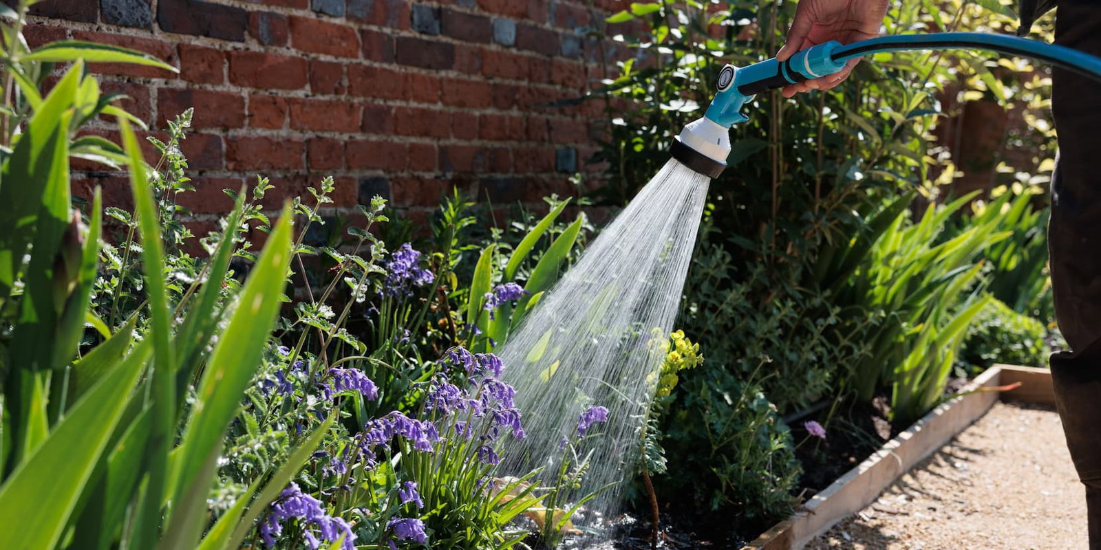 help your garden through the heat