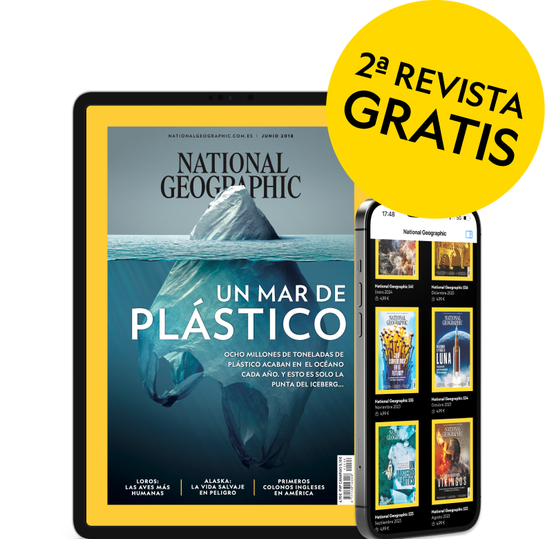 OFERTA VERANO