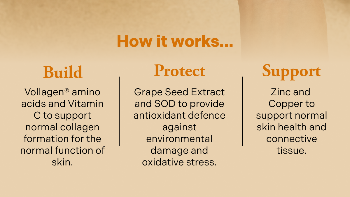 How it works? Build, protect and support.
