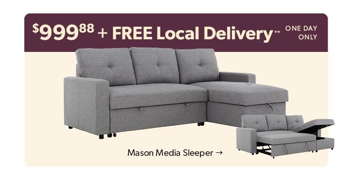 999 dollars and 88 cents. One day only plus Free Local Delivery. Click to shop the Mason Media Sleeper