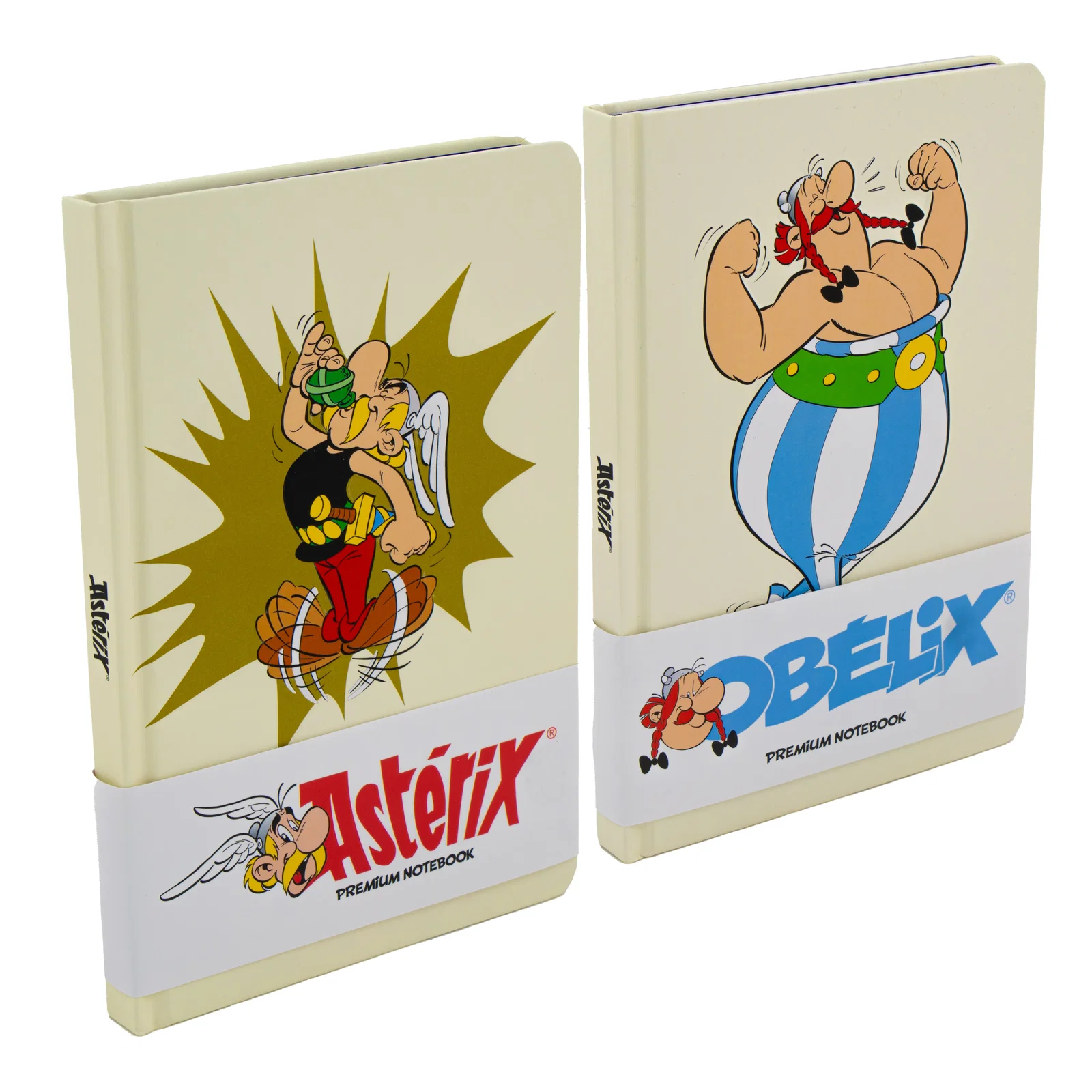 Asterix oder Obelix Premium Notizbuch