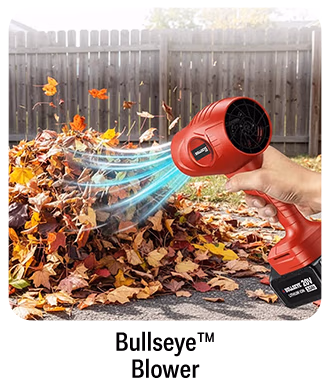 380168 Bullseye™ Blower