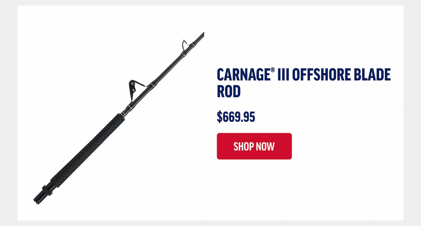 Carnage III Offshore Blade Rod