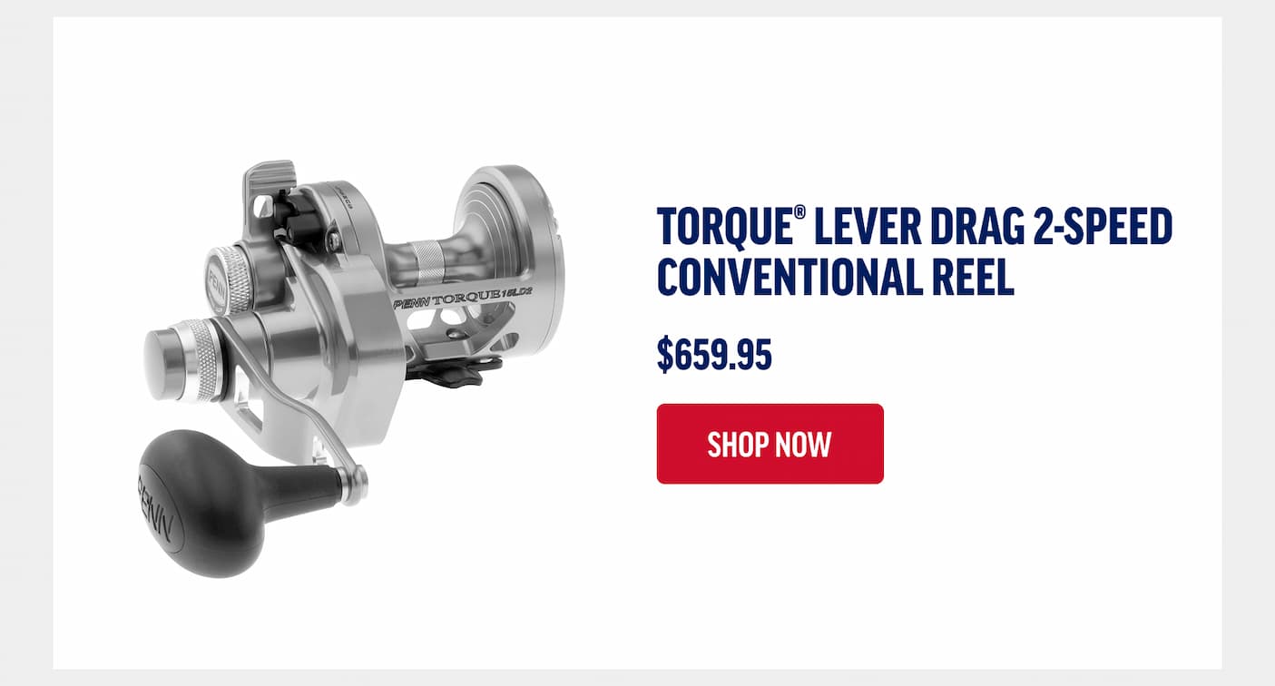 Torque Lever Drag 2-Speed Conventional Reel