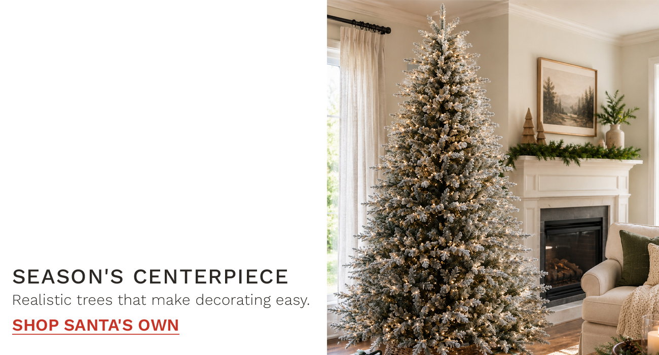 Season's Centerpiece -  Shop Santa's Own