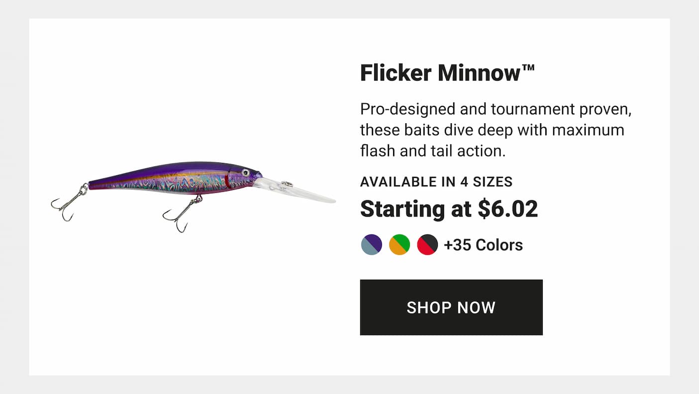Flicker Minnow