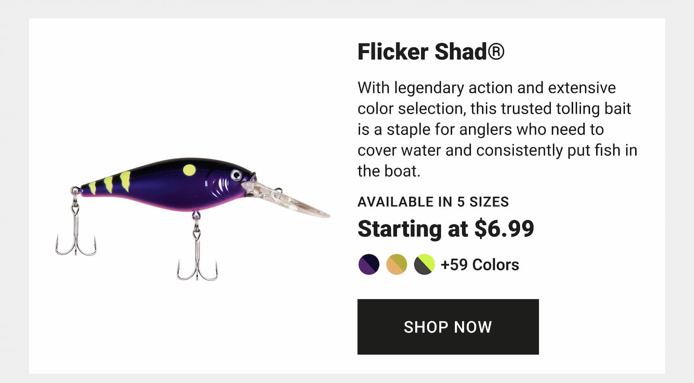 Flicker Shad