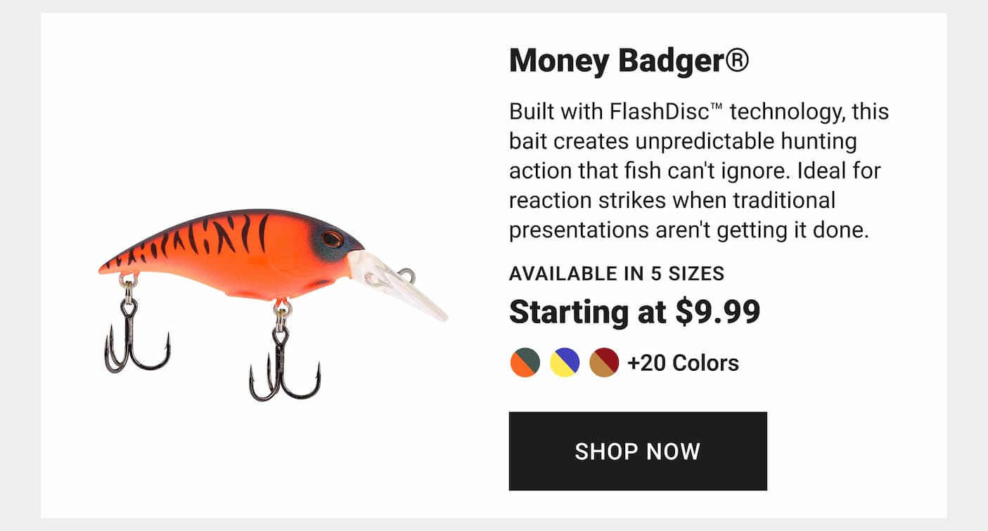 Money Badger