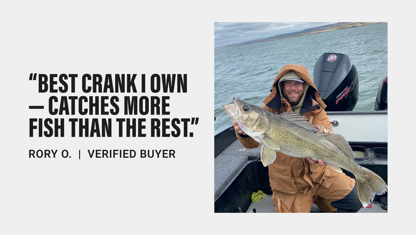 Flicker Minnow