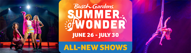 Summer of Wonder