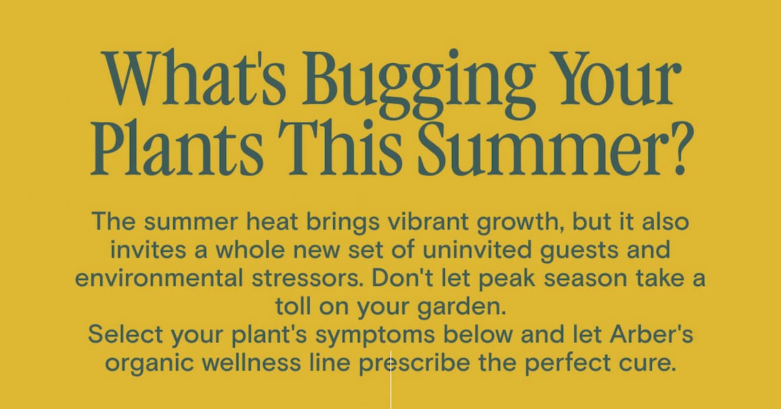 What's Bugging Your Plants This Spring? Warmer weather means fresh growth and new guests. Don’t let pests and diseases ruin your spring bloom.  Select your plant’s symptoms below and let Arber’s organic wellness line prescribe the perfect cure.