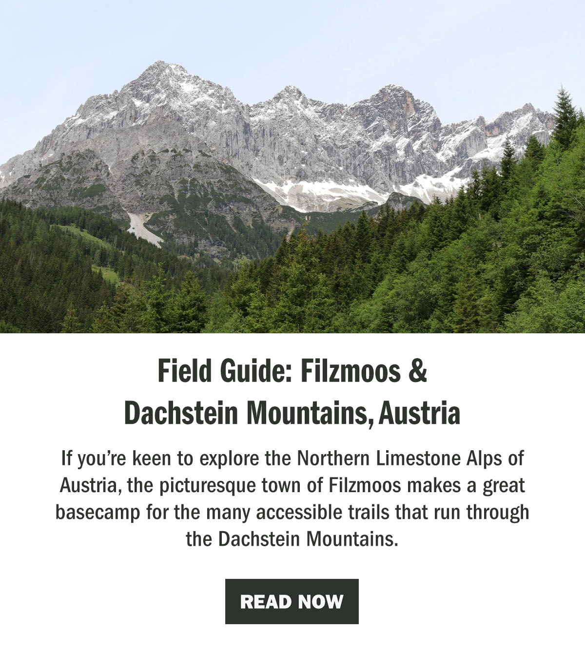 Field Guide: Filzmoos & Dachstein Mountains, Austria | The WildBounds Journal