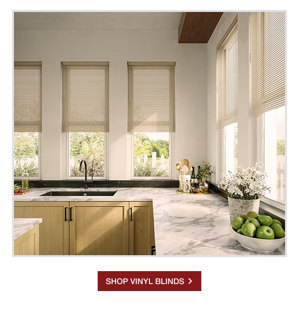 SHOP VINYL BLINDS >