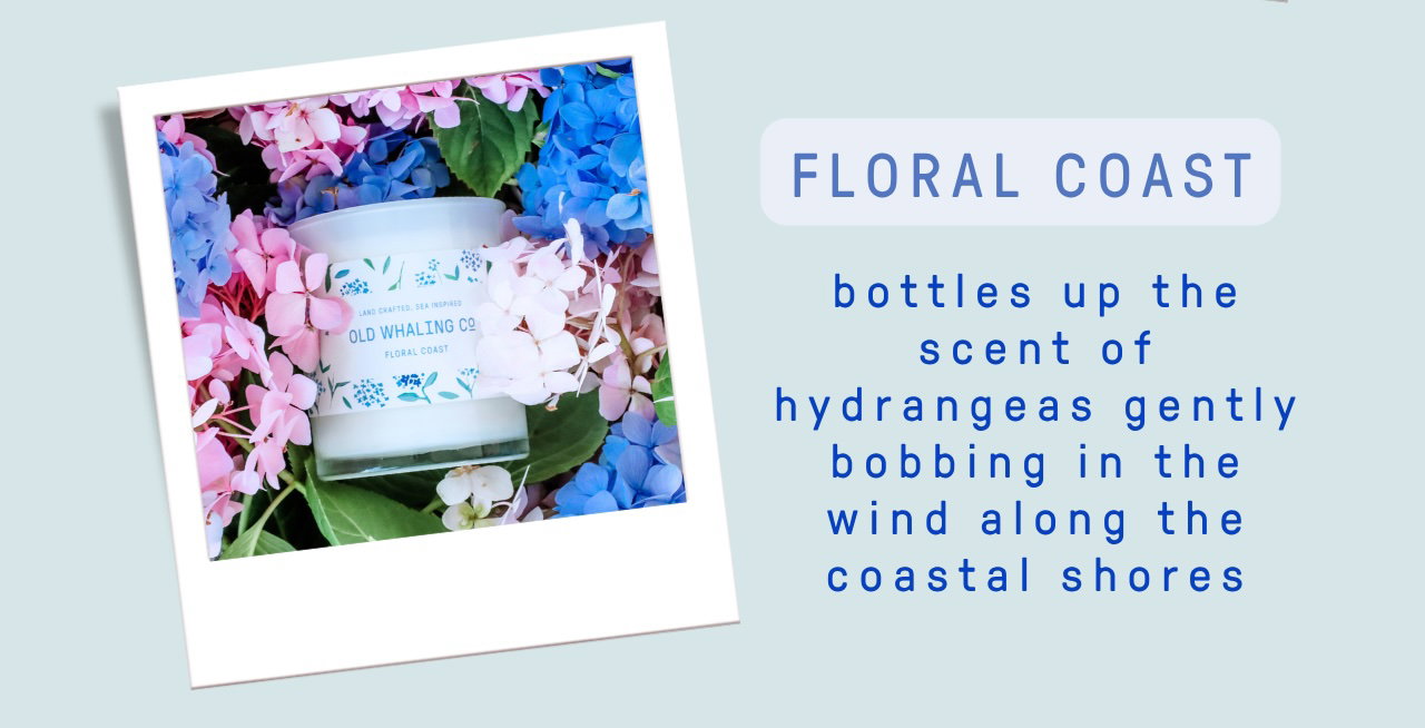 Meet Floral Coast!