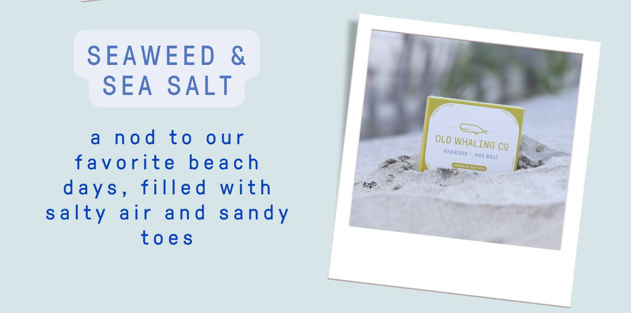 Meet Seaweed & Sea Salt!