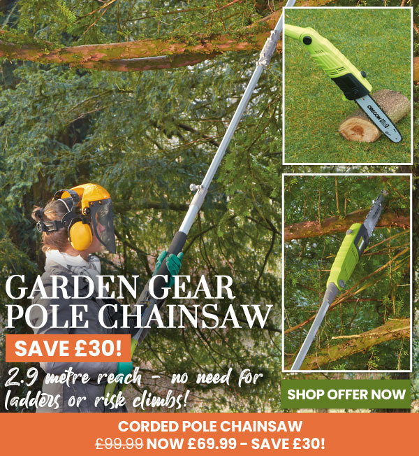 Garden Gear Corded Pole Chainsaw