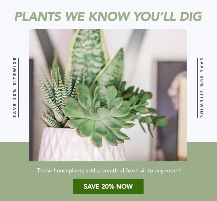 PLANTS WE KNOW YOU'LL DIG