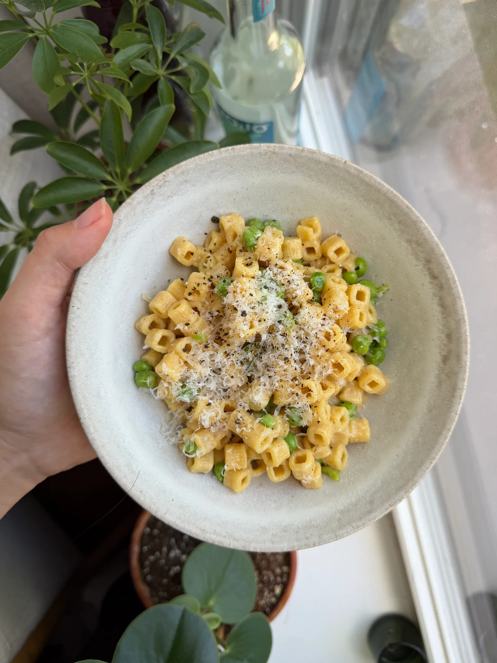 Collaged image of three brands of protein pasta boxe