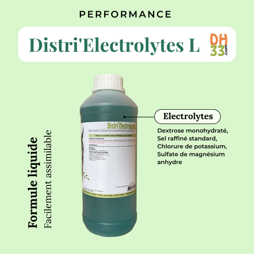 Electrolytes par DH33