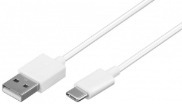 Image Article