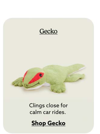 Shop Gecko