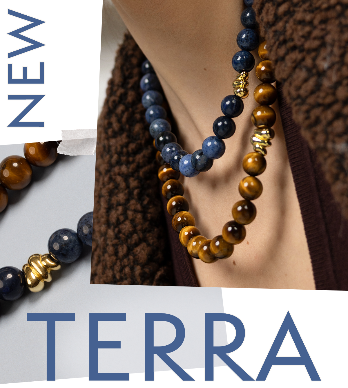 New In: TERRA