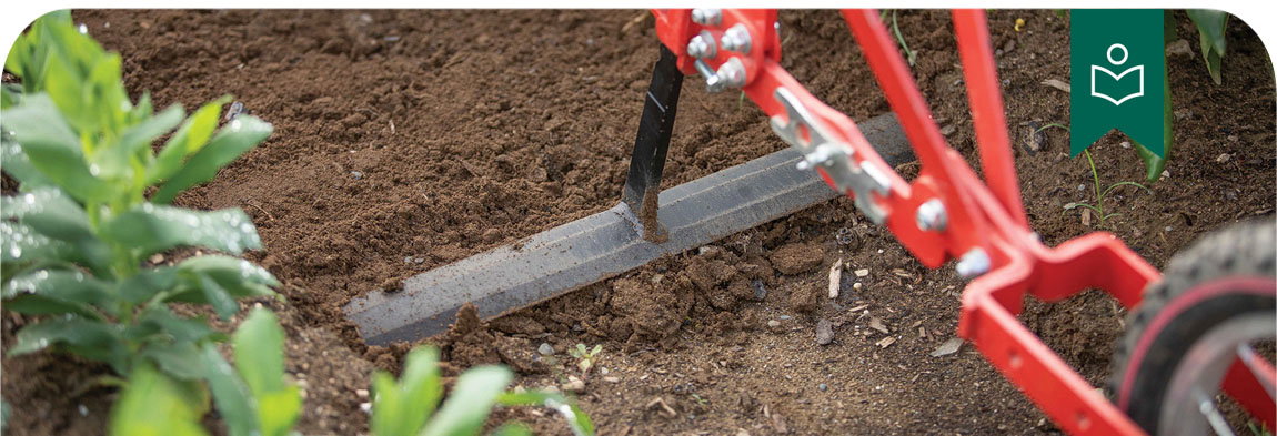 Weed Control Methods in Sustainable Agriculture