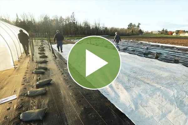 How to Use & Handle a Silage Tarp to Create a Stale Seed Bed Video