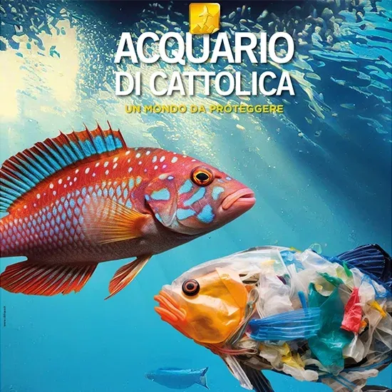 ACQUARIO DI CATTOLICA