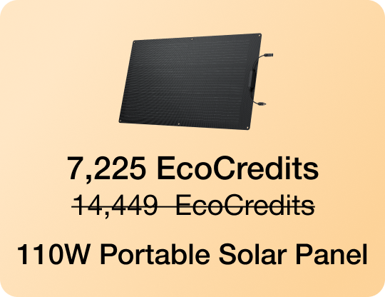 7,225 EcoCredits 14,449 EcoCredits 110W Portable Solar Panel