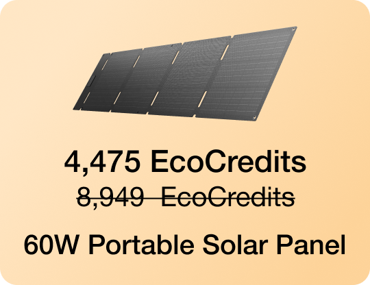 4,475 EcoCredits 8,949 EcoCredits 60W Portable Solar Panel