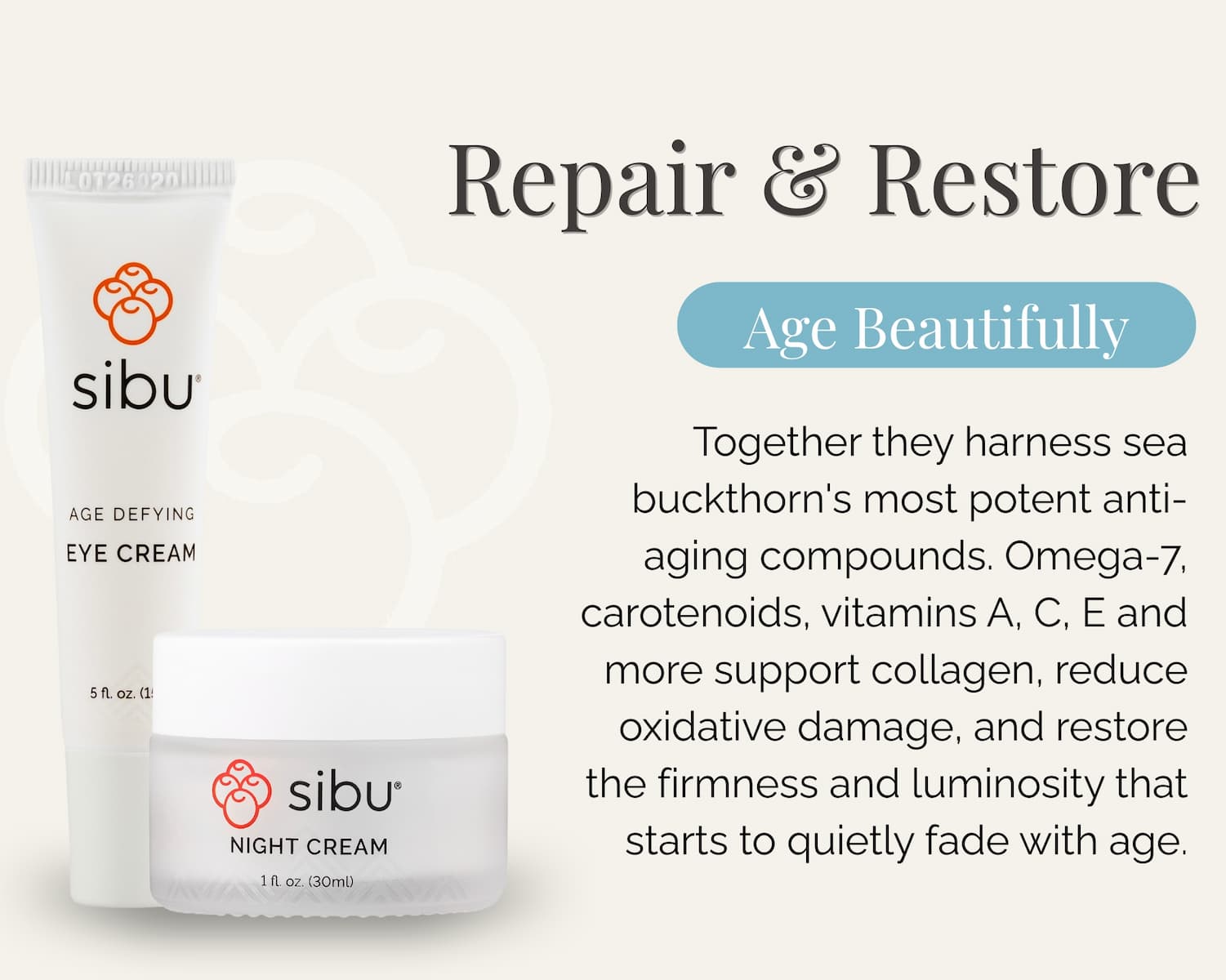 repair and restore