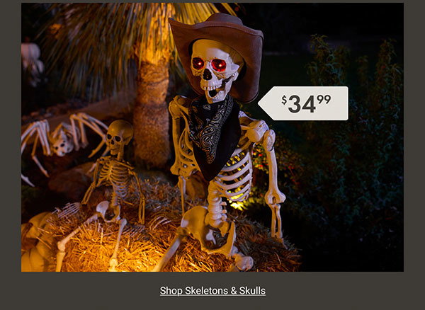 Shop Skeletons & Skulls >
