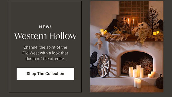 Western Hollow | Shop the Collection >