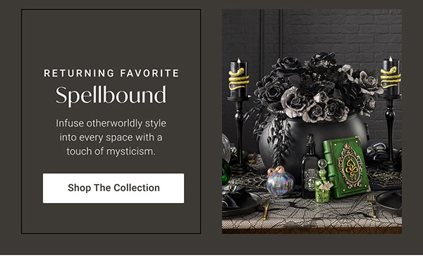 Spellbound | Shop the Collection >