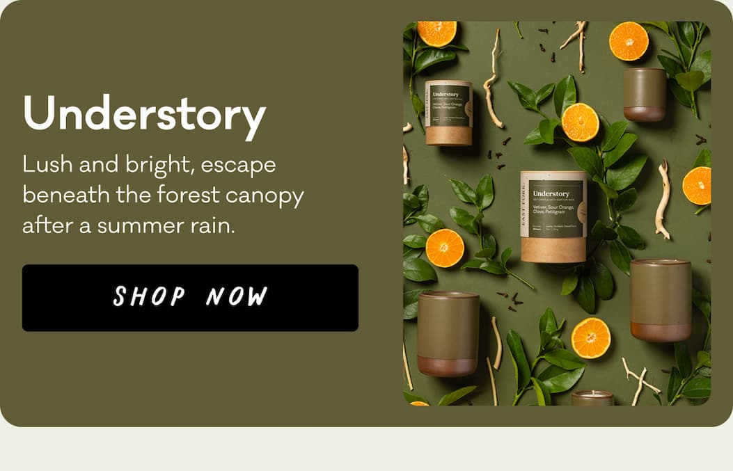 The Candle in Understory