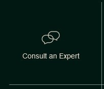 Consult an Expert