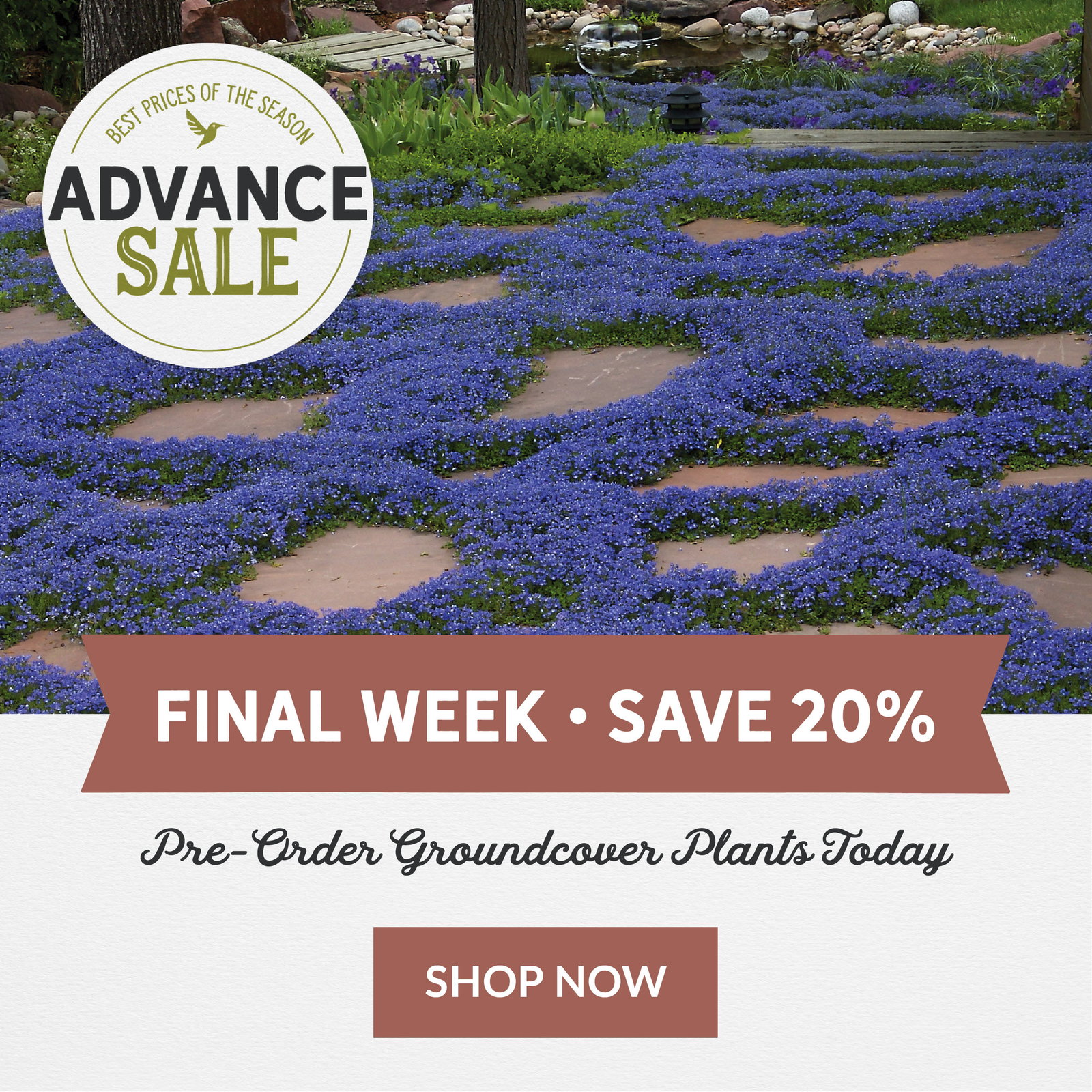 Advance Sale Final Week Save 20%