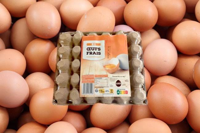 Lidl : des œufs frais sont contaminés par des salmonelles
