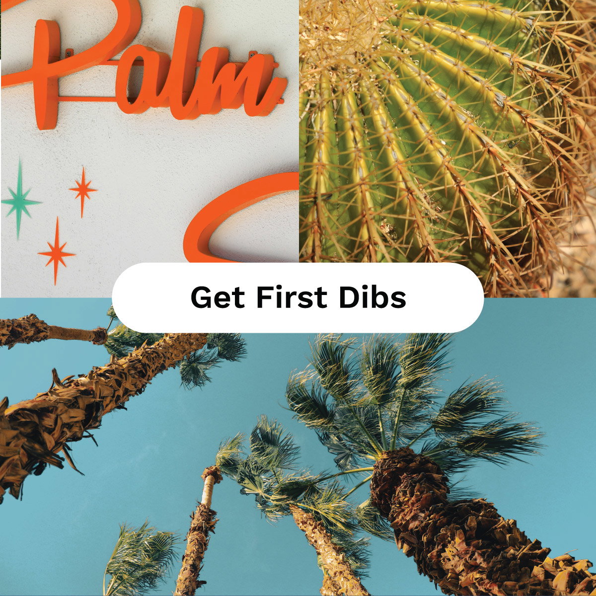 Inspired by Vintage Desert, Palm Springs, and the Beach | Get First Dibs