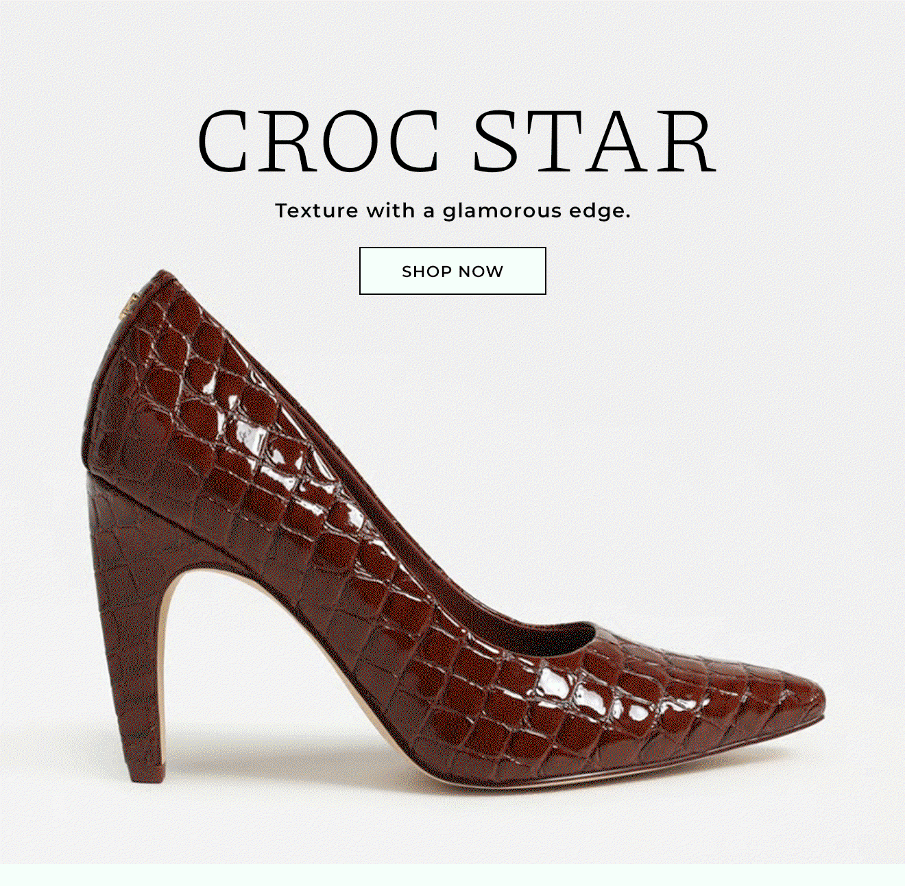 CROC STAR | Texture with a glamorous edge.  | Shop Now