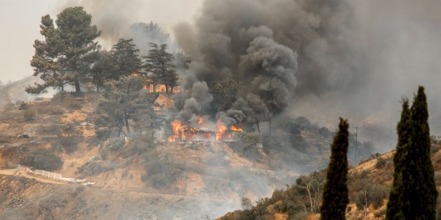 annonce sexe de bébé incendie