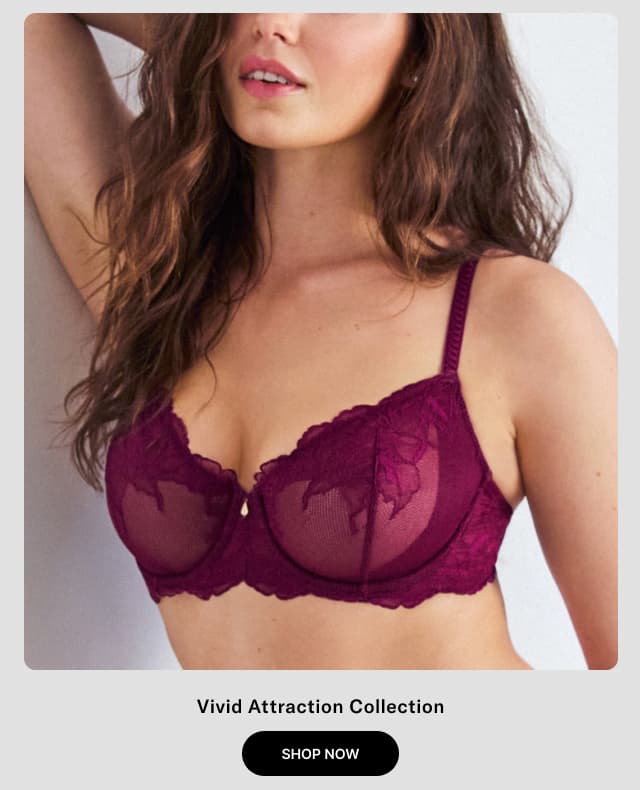 Shop Vivid Attraction Collection
