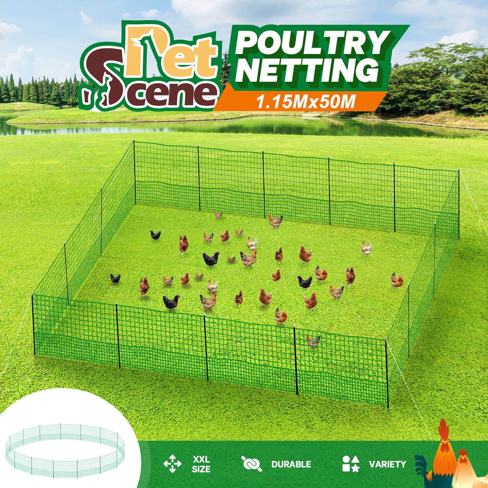 Chicken Fence