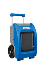 Shop Dehumidifiers Now