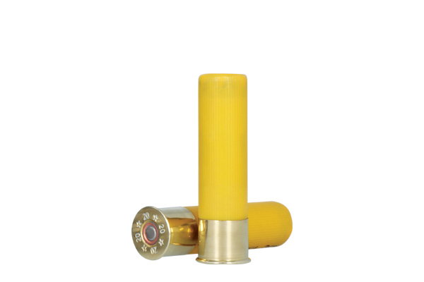 20 Gauge